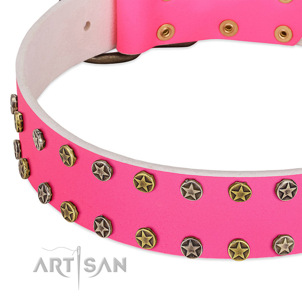 High quality leather collar with embellishments for your dog