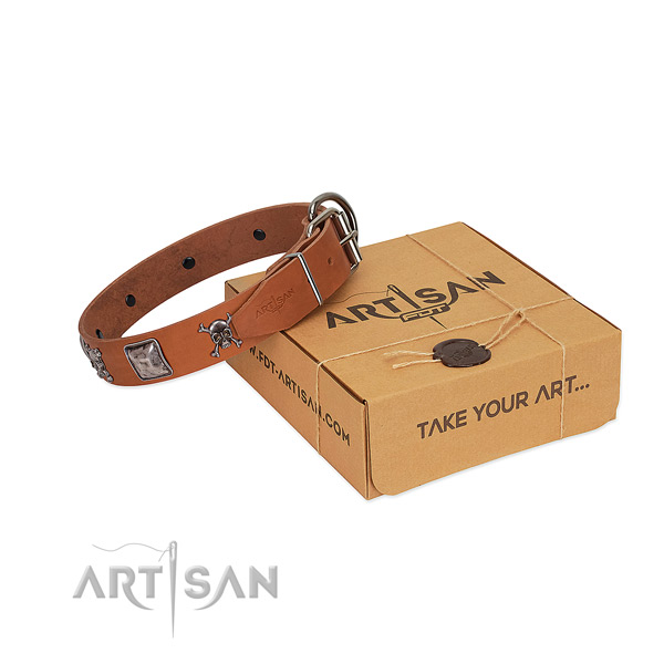 Trendy collar of full grain natural leather for your four-legged friend