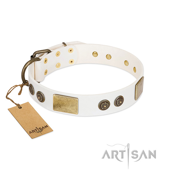 Awesome leather dog collar for fancy walking