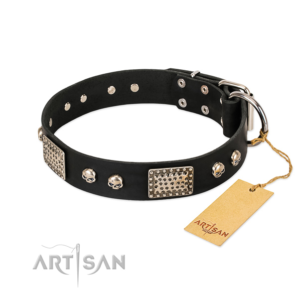 Adjustable full grain leather dog collar for basic training your pet