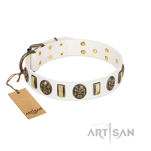 Top notch genuine leather dog collar for everyday use