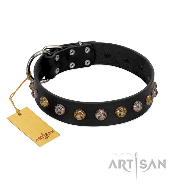 Strong D-ring on full grain leather dog collar for daily walking your canine