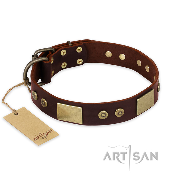 Amazing genuine leather dog collar for stylish walking