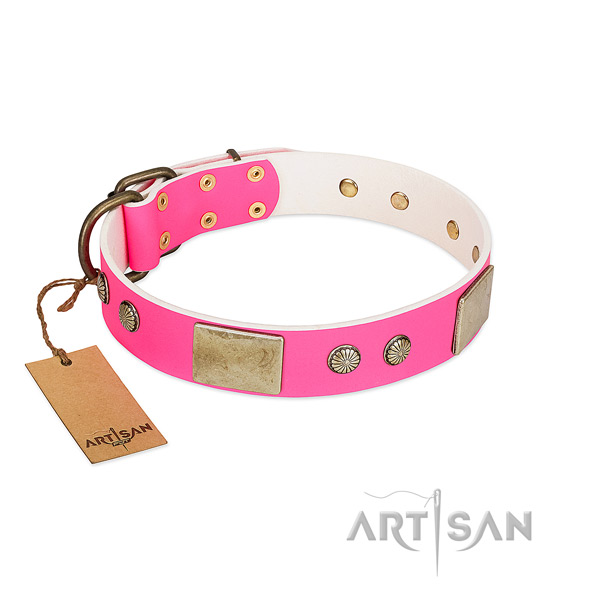Easy to adjust genuine leather dog collar for basic training your canine