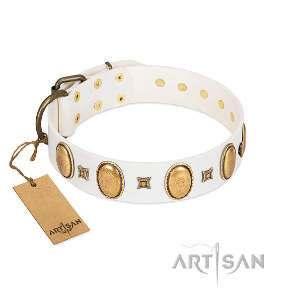 Leather dog collar with designer embellishments for everyday walking