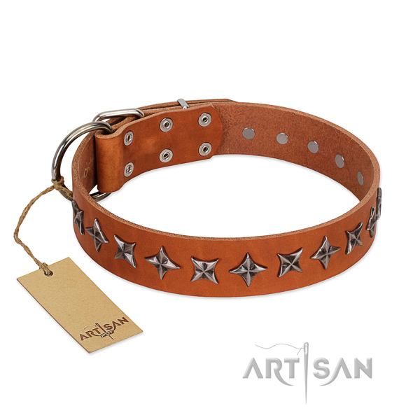 Comfortable wearing dog collar of durable full grain genuine leather with embellishments