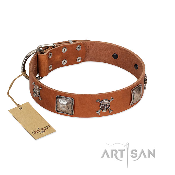 Trendy dog collar handcrafted for your lovely dog