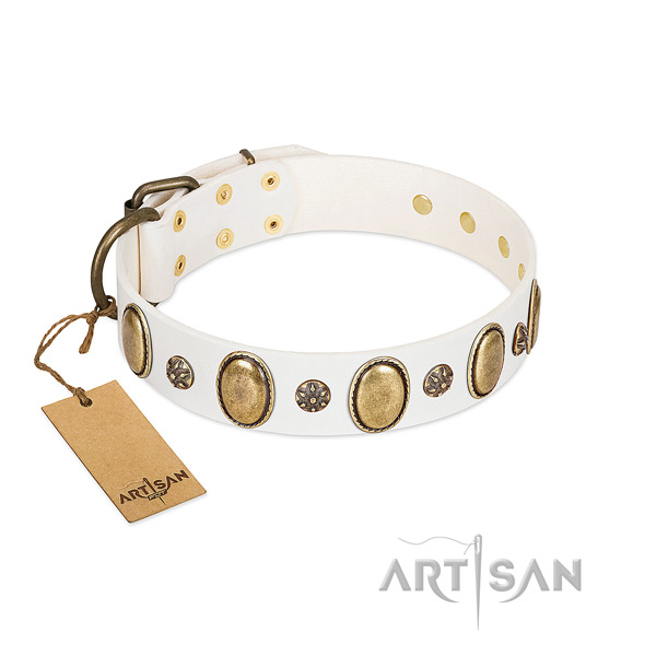 Daily use flexible genuine leather dog collar with adornments