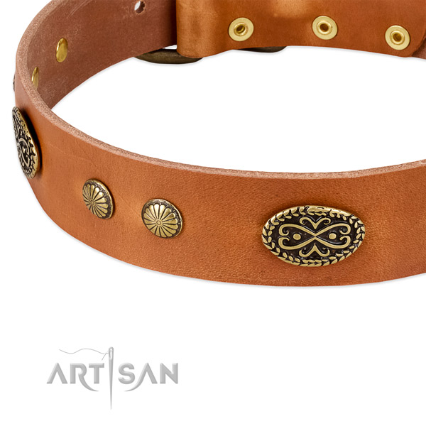 Rust resistant hardware on genuine leather dog collar for your dog