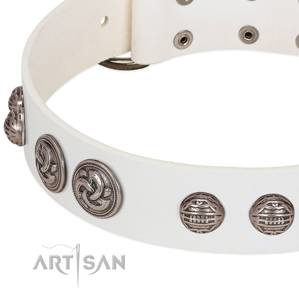 Rust resistant traditional buckle on full grain leather collar for stylish walking your doggie