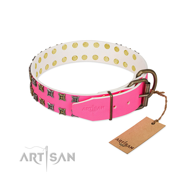 Natural leather collar with inimitable studs for your doggie
