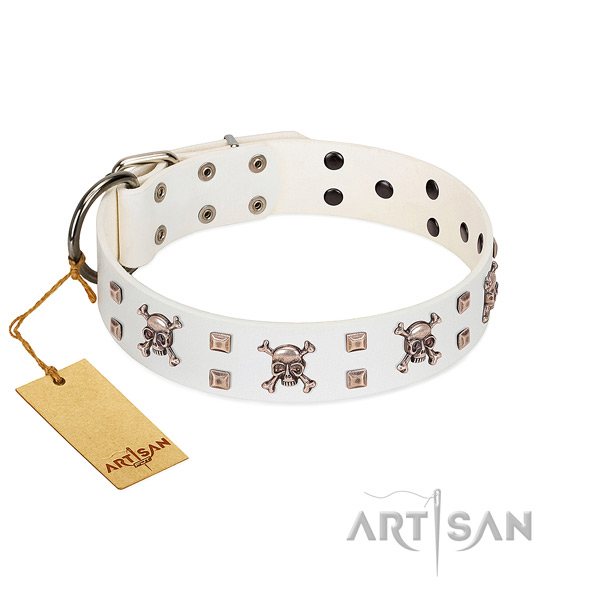Genuine leather dog collar with unusual embellishments