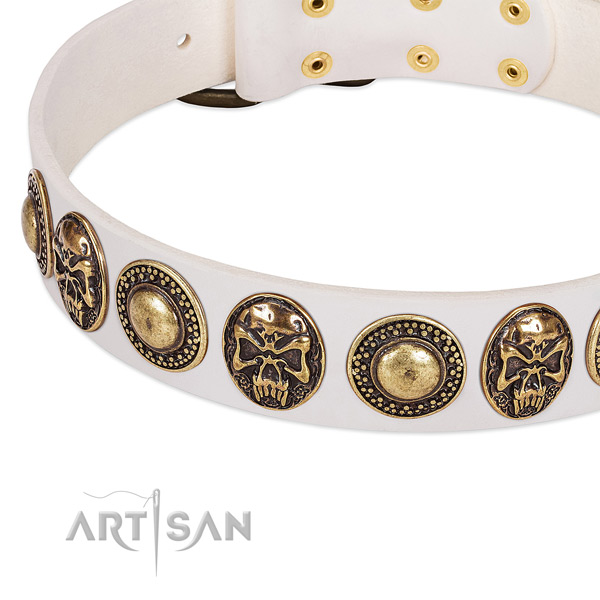 Durable embellishments on full grain leather dog collar for your pet