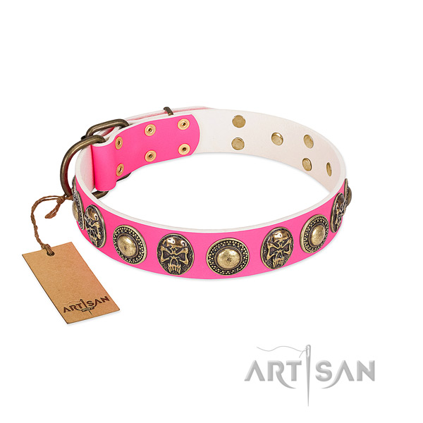 Adjustable full grain natural leather dog collar for daily walking your dog