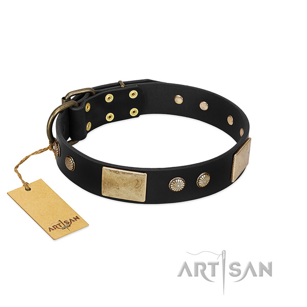 Extraordinary leather dog collar for handy use