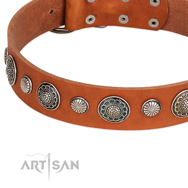 Full grain genuine leather collar with corrosion resistant hardware for your attractive four-legged friend