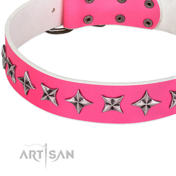 Everyday use adorned dog collar of finest quality full grain natural leather