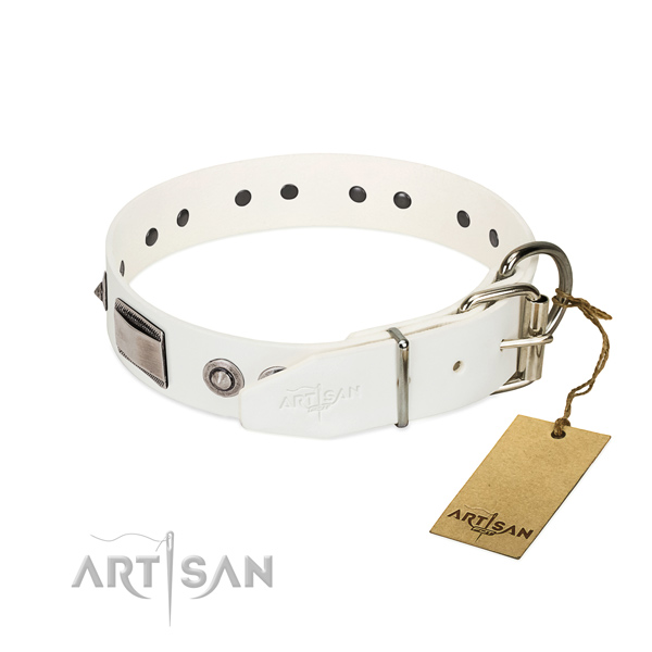 Trendy dog collar of natural leather with decorations