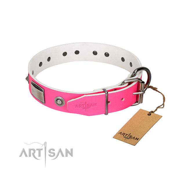 Unusual full grain natural leather collar with adornments for your four-legged friend