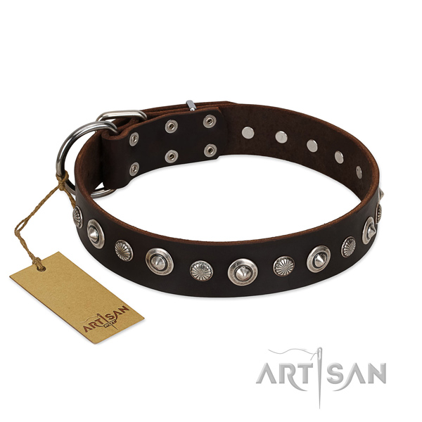 Best quality leather dog collar with inimitable embellishments