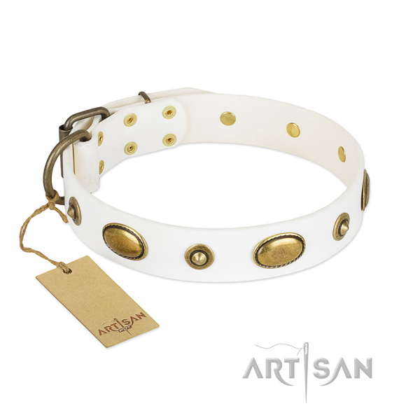 Significant full grain leather collar for your four-legged friend