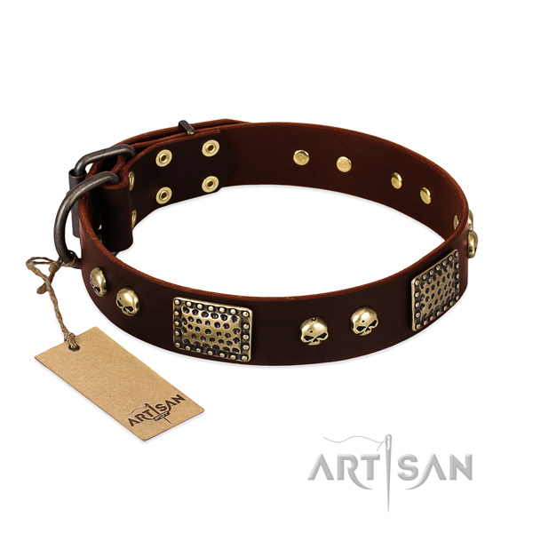 Adjustable genuine leather dog collar for walking your four-legged friend