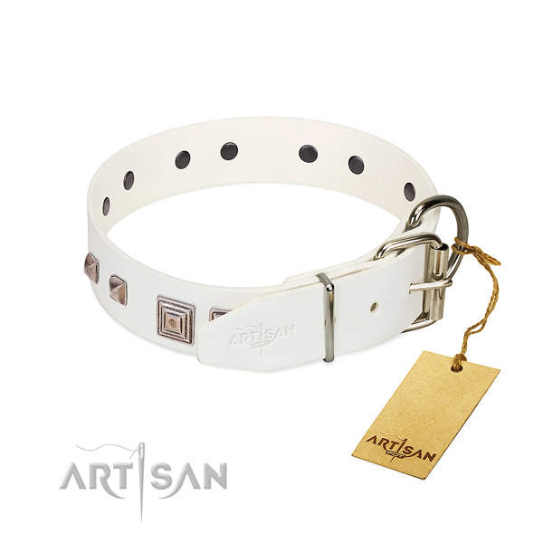 Exquisite collar of full grain genuine leather for your beautiful canine