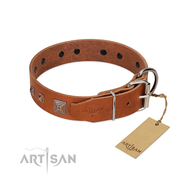 Comfortable wearing natural leather dog collar with unusual studs