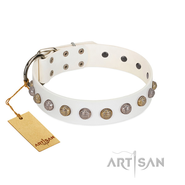 Reliable fittings on fashionable natural genuine leather dog collar