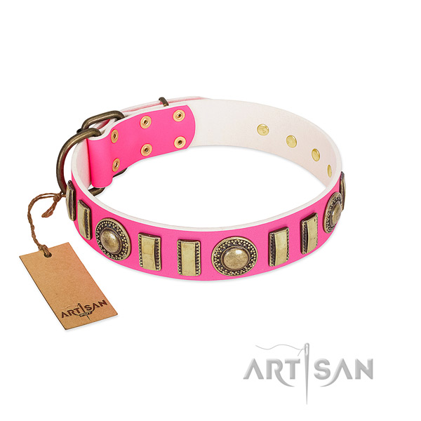 Designer full grain natural leather dog collar with strong fittings
