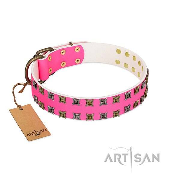 Leather collar with awesome embellishments for your pet