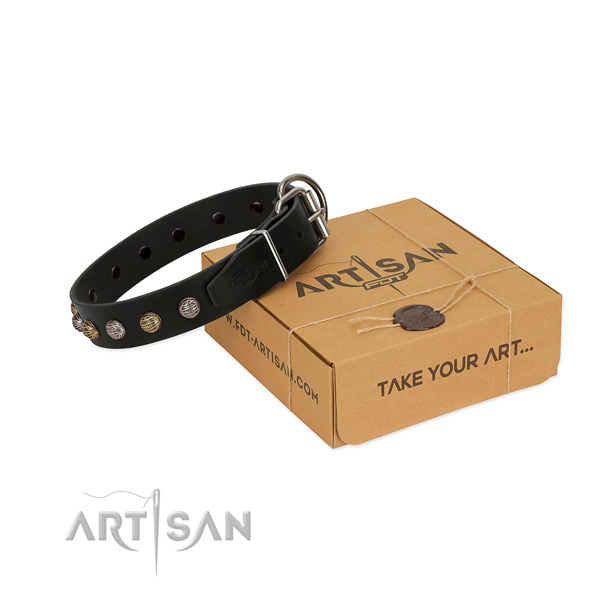 Strong D-ring on leather dog collar for daily walking