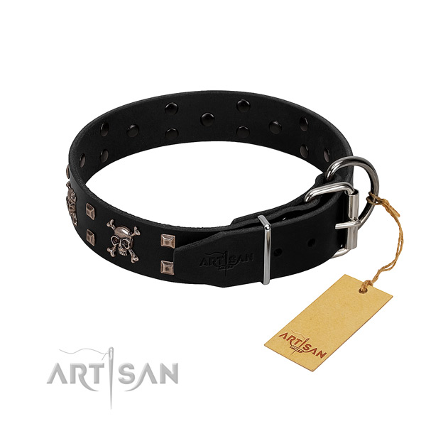 Impressive full grain genuine leather dog collar with corrosion proof embellishments