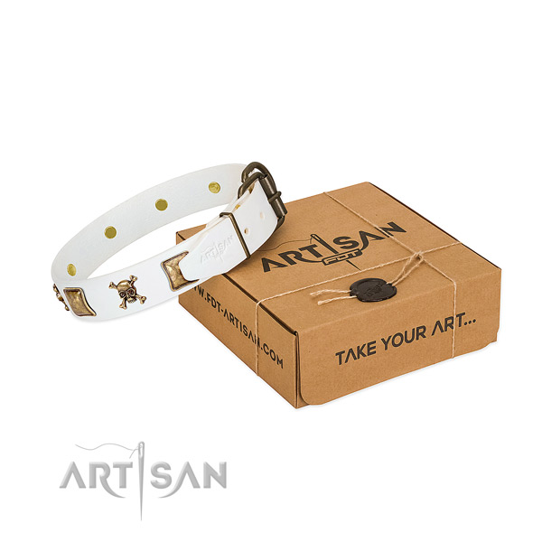 Unique full grain leather dog collar with corrosion proof studs