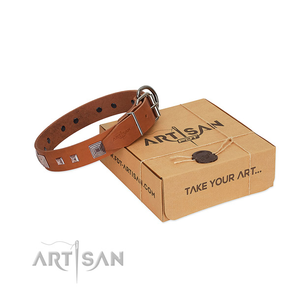 Exceptional leather collar with adornments for your doggie