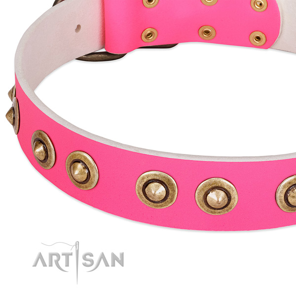 Reliable studs on natural genuine leather dog collar for your canine