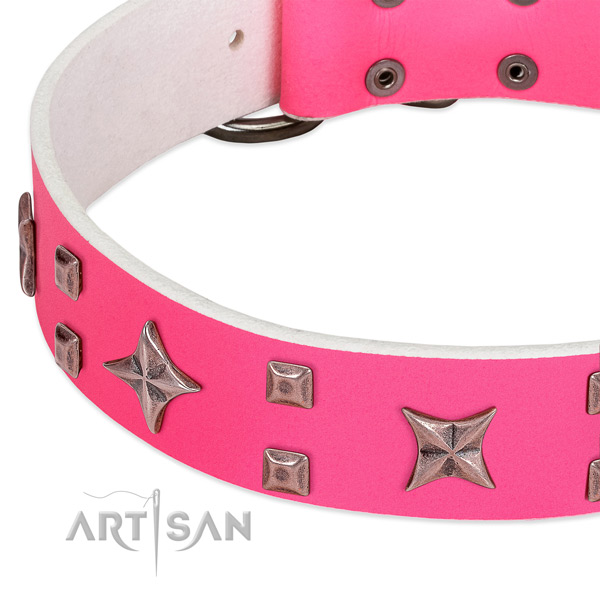 Durable hardware on full grain genuine leather collar for fancy walking your canine