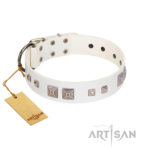 Stylish walking quality leather dog collar