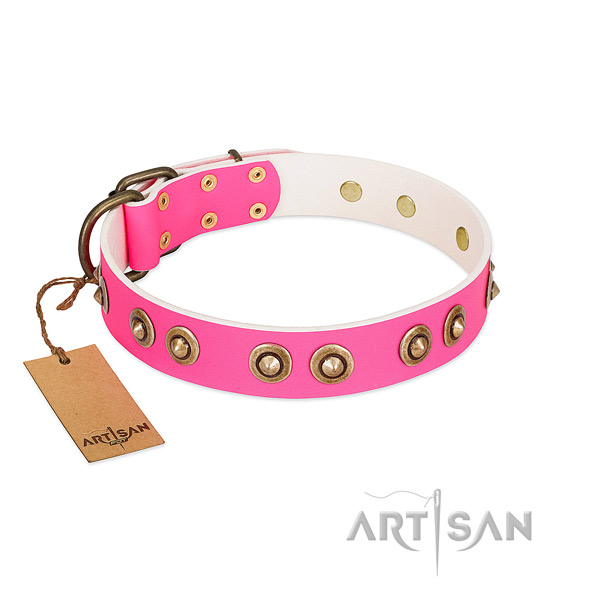 Extraordinary genuine leather dog collar for everyday use