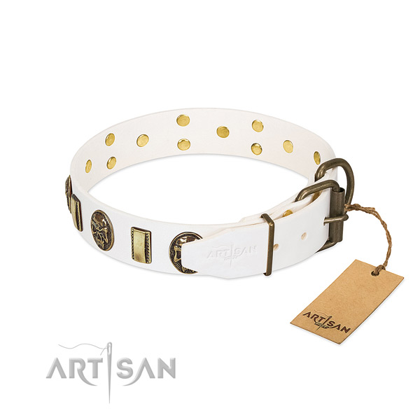 Rust resistant fittings on full grain leather collar for walking your pet
