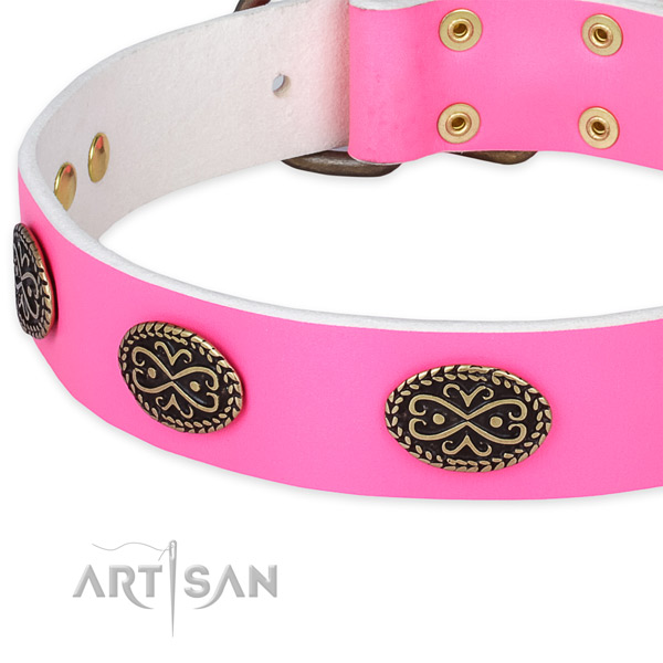 Leather dog collar with decorations for daily walking