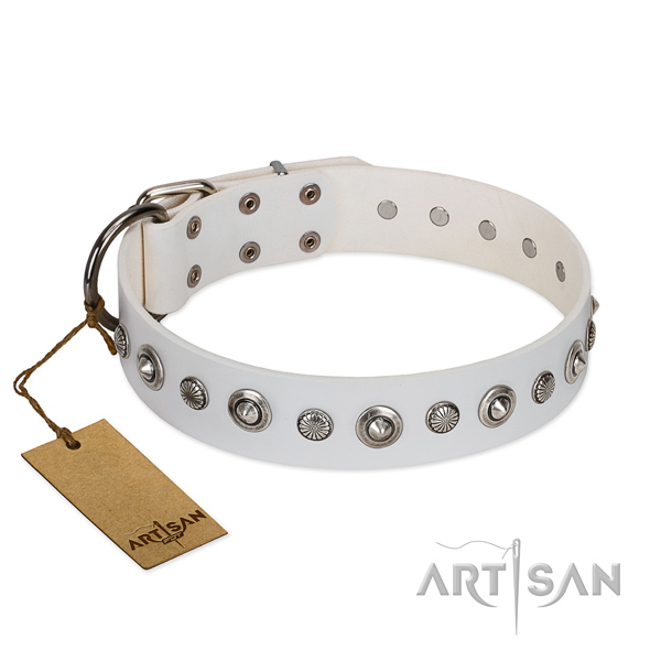 Durable full grain natural leather dog collar with significant studs
