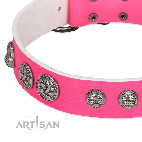 Durable buckle on genuine leather collar for basic training your doggie
