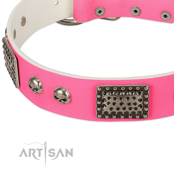 Rust resistant buckle on full grain leather dog collar for your pet