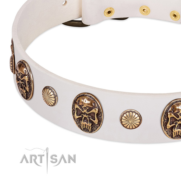 Reliable adornments on genuine leather dog collar for your dog