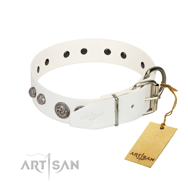 Corrosion resistant studs on leather dog collar for your four-legged friend