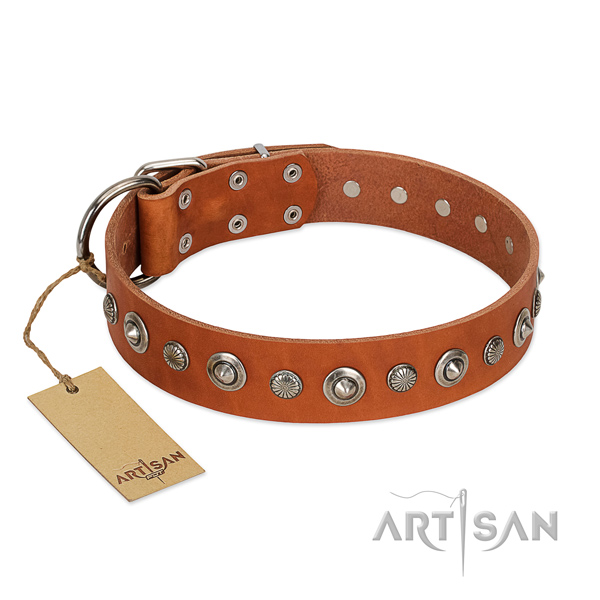 Strong full grain genuine leather dog collar with inimitable adornments