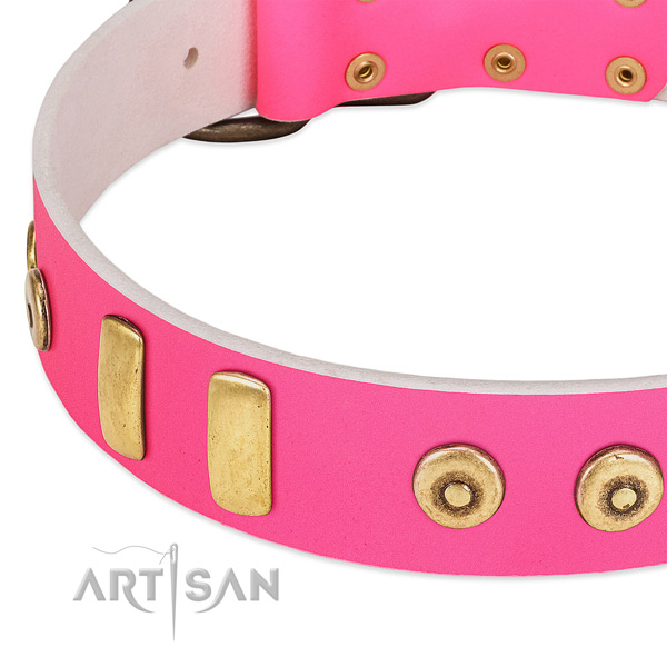 Soft leather dog collar with inimitable studs