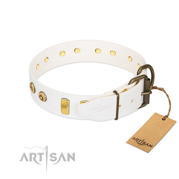 Amazing adorned full grain genuine leather dog collar of quality material