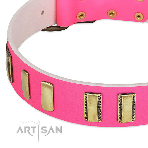 Top rate full grain natural leather dog collar with decorations for handy use